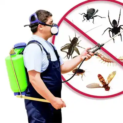 pest control Rocky Boy's Agency